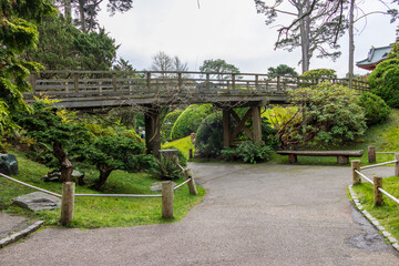 A beautiful landscape with a brown wooden bridge and lush green trees, grass and plants in the Japanese Tea Garden at Golden Gate Park in San Francisco California USA
