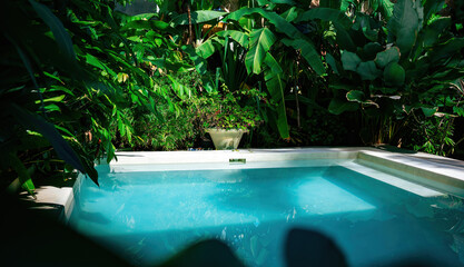 Tropical Oasis: A pristine swimming pool surrounded by lush greenery offers a private retreat.