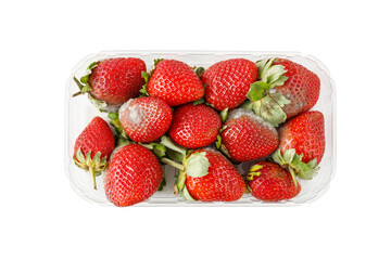 Spoiled strawberry berries with mold  in transparent plastic box closeup isolated on white background