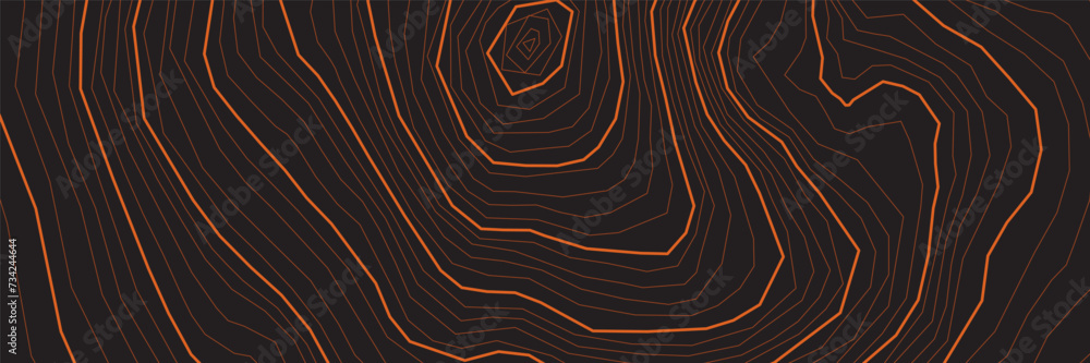 Aufkleber the stylized height of the topographic contour in lines and contours. the concept of a conditional g