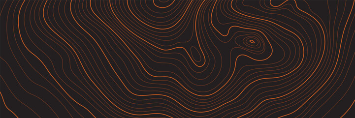 The stylized height of the topographic contour in lines and contours. The concept of a conditional geography scheme and the terrain path. Ultra wide size. Vector illustration.