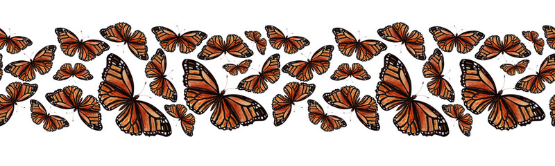 orange butterflies 2