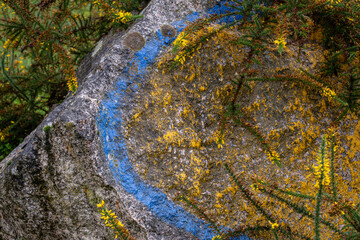 O Rexo Ecospace, pictorial and sculptural intervention by the artist Agustín Ibarrola on a natural...