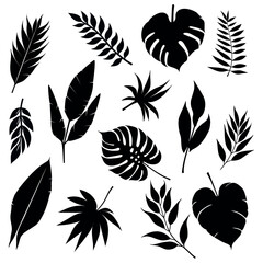 Collection of exotic leaves silhouettes. icon set. Vector illustration