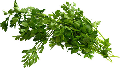 LAYER-LAB_2504193670_LC