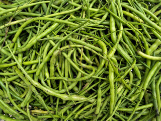 Heap of Radish pods, also known as 