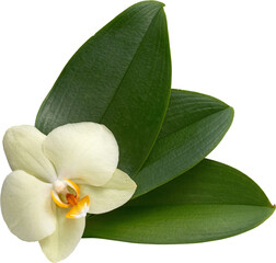 LAYER-LAB_2609190626_LC