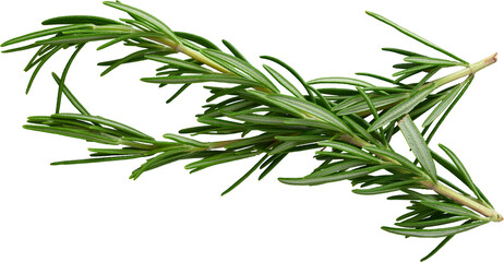 LAYER-LAB_0103177565_LC