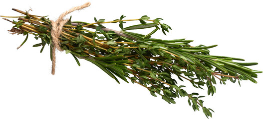 LAYER-LAB_2203190329_LC