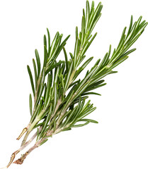 LAYER-LAB_2203190445_LC