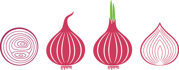 Onion logo. Isolated onion on white background