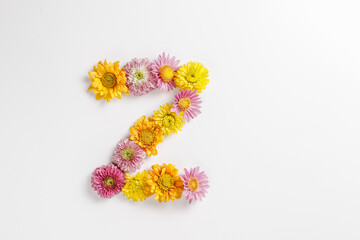 Letter Z made of real natural flowers.