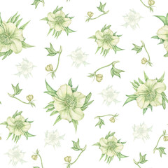 Seamless pattern with white hellebore flowers, repeating background. A spring, festive pattern. Easter, mother's day, birthday. For designers, weddings, decor, postcards, packaging, textiles and paper