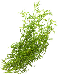 LAYER-LAB_1008219128-01_LC