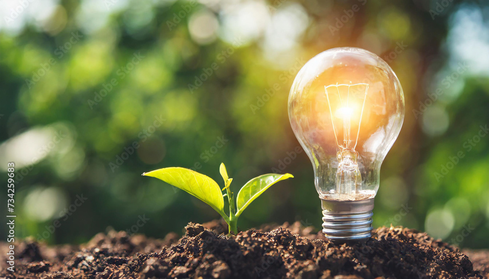 Wall mural lightbulb tree with sunlight on soil. concept save world and energy power