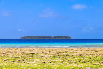View of the Indian ocean at low tide, Zanzibar, Tanzania