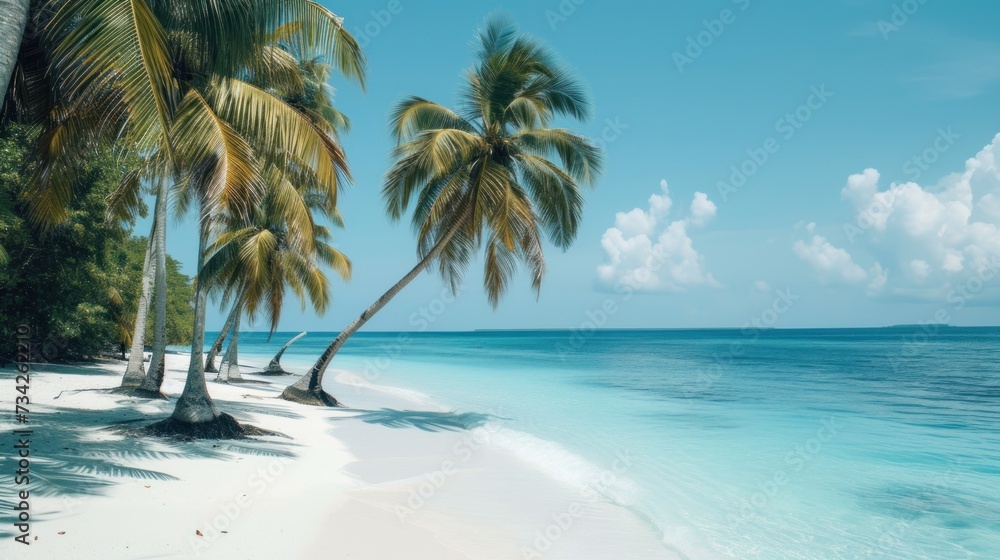 Poster a tropical beach with palm trees in the foreground and a blue sky in the background with clouds in t