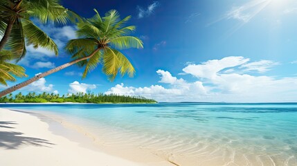 sand holiday backgrounds