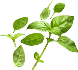 LAYER-LAB_2203190437_LC