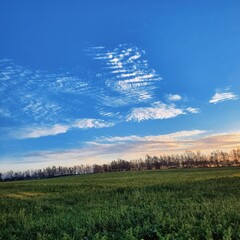 Obraz premium field and sky