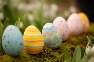 Colorful Easter Eggs on Spring Background