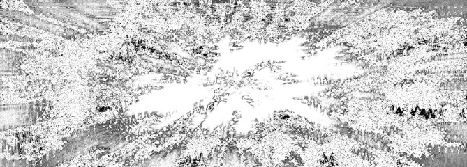 An abstract black and white grunge texture background image.