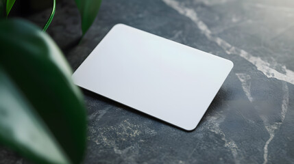 Blank plastic card mockup