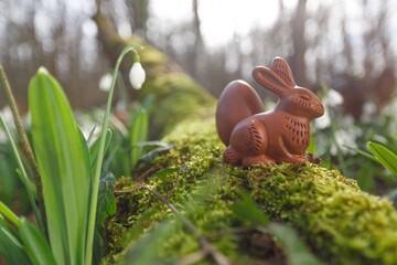 Easter chocolate bunny or rabbits with spring flower in forest