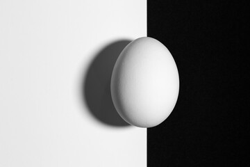 Black and white split screen with egg and shadow with copy space