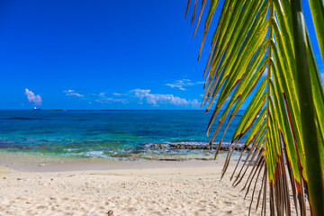 Beautiful  view of the Cayman Islands in the Caribbean with pristine beach turquoise blue green...