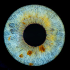 Macro photo of human eye on black background. Close-up of female blue-green colored eye with brown...