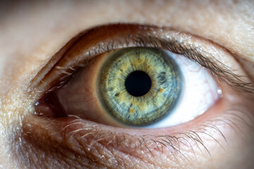 Female Blue-Green Colored Eye with Yellow pigment spots. Pupil Opened. Close Up. Structural...