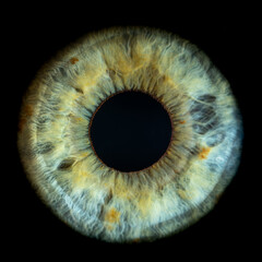 Macro photo of human eye on black background. Close-up of female blue-green colored eye with yellow...