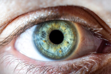Female Blue-Green Colored Eye with brown pigment spots. Pupil Opened. Close Up. Structural Anatomy....