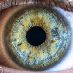 High Resolution Female Green-Blue Colored Eye with Brown Pigment Spots and Pupil Wide Open. Close...