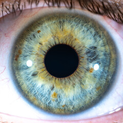 High Resolution Female Green-Blue Colored Eye with Yellow Pigment Spots and Pupil Wide Open. Close...
