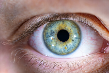 Female Blue-Green Colored Eye with brown pigment spots. Pupil Closed. Close Up. Structural Anatomy....