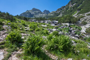 Landscape of Rila Mountain near Malyovitsa hut, Bulgaria