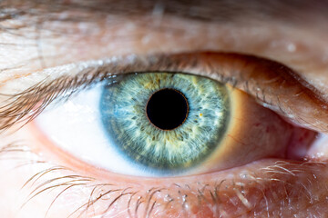Male Blue-Green Colored Eye With Lashes. Pupil Opened. Close Up. Structural Anatomy. Human Iris...