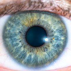 High Resolution male Green-Blue Colored Eye with Yellow Pigment Spots and Pupil Wide Open. Close...