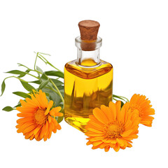 fresh raw organic calendula oil in glass bowl png isolated on white background with clipping path. natural organic dripping serum herbal medicine rich of vitamins concept. selective focus