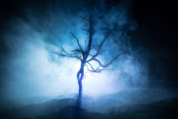 Silhouette of scary Halloween tree with horror face on dark foggy toned background with moon on...