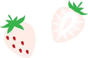 白いちご　断面　シンプル