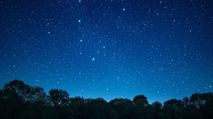 Obraz na płótnie Canvas Night dark blue sky with many stars over the field of trees generative ai