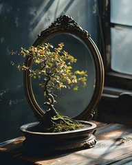 Schilderijen op glas a bonsai tree in front of a mirror on a table © KWY
