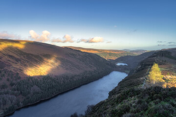 Pine trees illuminated by early sunset and wooden boardwalk on the top of a mountain with a view on Glendalough lakes. Wicklow Mountains, Ireland