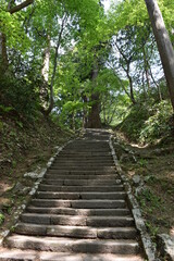 Fototapeta na wymiar 羽黒山の石段 神社で日本一 2446段 ／山形県鶴岡市の羽黒山は標高414mで、山岳信仰の中心地として有名です。参道は瑞心門から国宝の五重塔を通り、上ること2446段と、神社では石段の数で日本一です。出羽三山神社までは車での参拝も出来ますが、パワースポットの御利益は、徒歩の方が上と言わています。