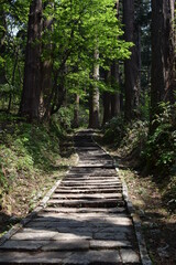 羽黒山の石段 神社で日本一 2446段 ／山形県鶴岡市の羽黒山は標高414mで、山岳信仰の中心地として有名です。参道は瑞心門から国宝の五重塔を通り、上ること2446段と、神社では石段の数で日本一です。出羽三山神社までは車での参拝も出来ますが、パワースポットの御利益は、徒歩の方が上と言わています。