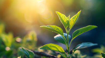 Young Small Plant Growing: Cultivating Tomorrow's Green Guardians, AI Generative