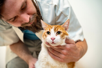 Closeup shot of veterinarian with pretty orange cat 